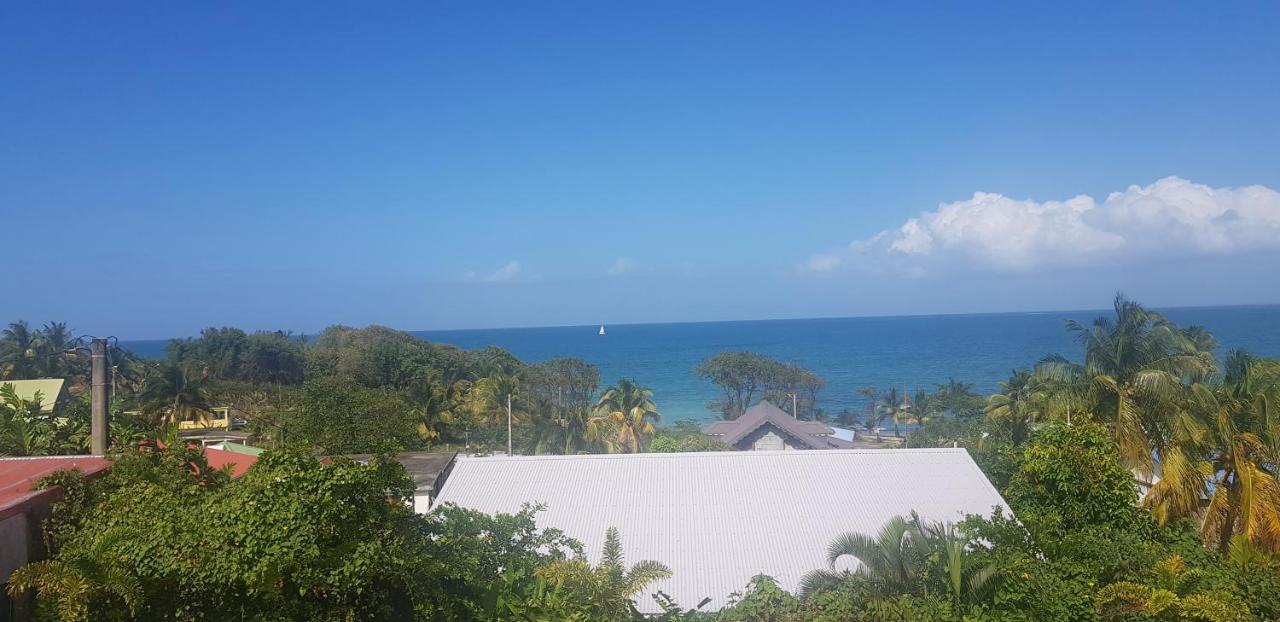 L'Alizee & Spa Jacuzzi Privatif Haut De Gamme Sainte-Rose Exteriör bild